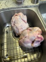 IMG_1725.jpeg