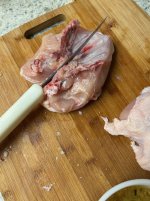 IMG_1730.jpeg