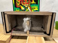 IMG_1034.jpeg