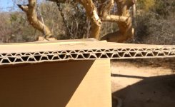 Serious Cardboard.jpg