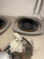 IMG_4826.jpeg