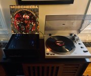 IMG_2099.jpeg