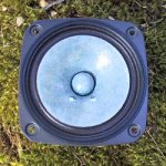 blue-fe126-onMoss-tn.jpg
