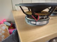 IMG_20250604_121709_265.jpg