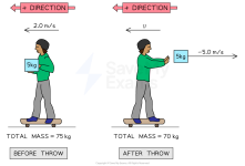 20809_skateboard-momentum-conservation-we-solution.png