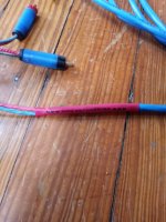 20250605_115744.jpg