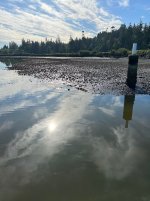 IMG_1791.jpeg