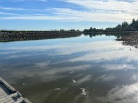IMG_1792.jpeg
