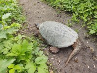 IMG_20250427_093215572.jpg