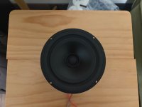 IMG_6607.jpeg