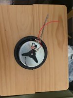 IMG_6608.jpeg