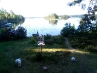 IMG_2023-08-20-08-52-28-621.jpg