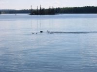 IMG_5461.jpg