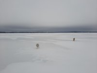 20250208_142930.jpg