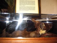haggis_2.jpg