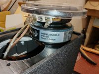 IMG_20250618_115815.jpg