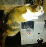 DSC_0003.jpg