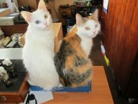 IMG_0149.JPG