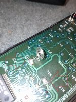 20250624_114638.jpg