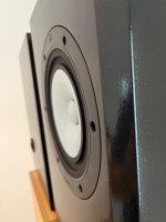 IMG_3462.jpeg
