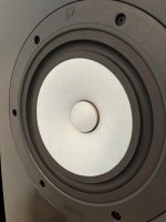 IMG_3461.jpeg