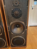 IMG_9957.jpeg