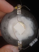 IMG_20250628_113012.jpg