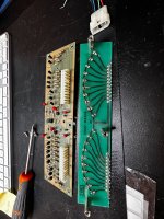 IMG_2918.jpeg