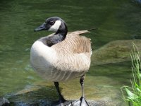 IMG_1628.jpg