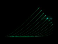 1619 traced curves 390v at 0 vg1.jpg