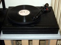 DSCF1474.JPG