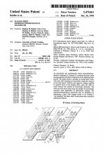 Bobbio et al. ES AMT US5479061.jpg