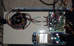 P1010260-1s.jpg
