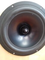 IMG_20250727_181958.jpg
