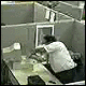 bad day.gif