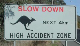 roo sign.jpg