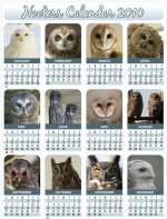 hoot.JPG