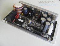 DXA-600.jpg