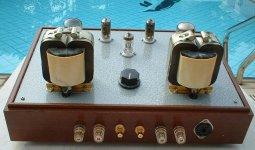 10JA5 SE Amp back view.jpg