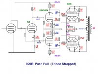 829B Push Pull 'triode'.JPG