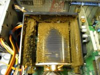 Small_Computer_Filters_2.JPG
