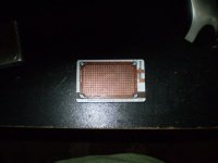 PC110316.JPG