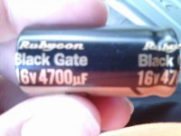 IMG0231A1.jpg