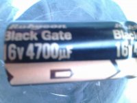 IMG0232A1.jpg