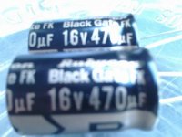 IMG0236A1.jpg