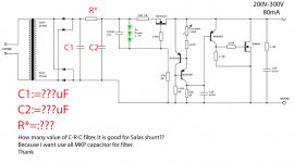 Salas-shunt-and-C_R_C.jpg