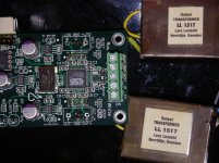 LL1517_BUFFALO_02.jpg