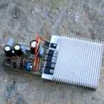 TGM2cropED.jpg