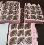 transistors-1.jpg