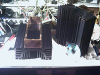 phto0001.1.jpg